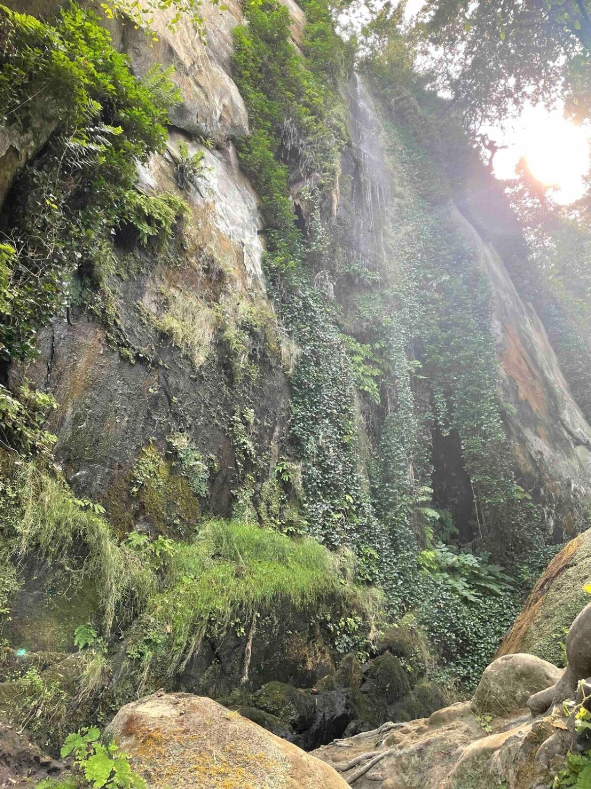 The Groves At Redway Beach - Studio Ngoại thất bức ảnh